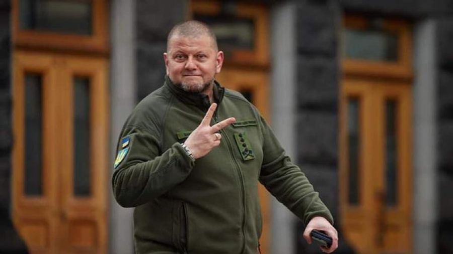 валерій залужний
