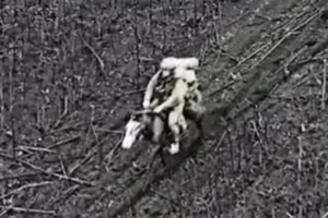 Росіяни через втрату техніки йдуть у штурм на конях (фото)