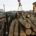 Обмеження експорту лісу та металобрухту: уряд ухвалив рішення
