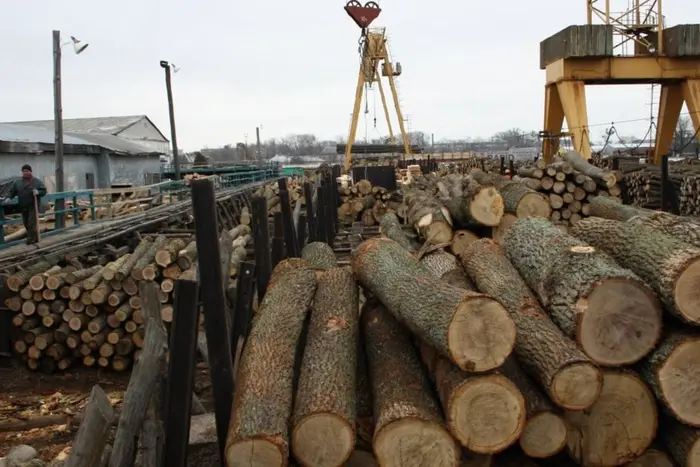 Обмеження експорту лісу та металобрухту: уряд ухвалив рішення