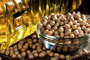 Туреччина залишається ключовим ринком збуту української сої