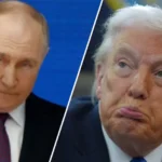 Зеленський розказав, що Путін клянчить у Трампа