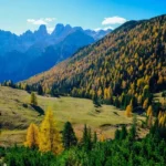 Петицію про захист Карпат зареєстрували лише з п’ятої спроби: деталі