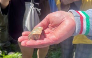 Американські інвестори та суди за літій на Кіровоградщині